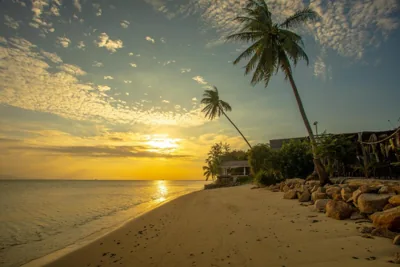 Absolute Beachfront Resort – Photos 11